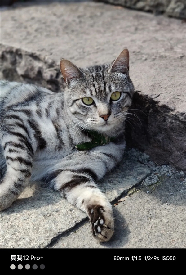 鼎点娱乐主管：那些割韭菜的千元机 马上就要被扔进历史的垃圾堆了